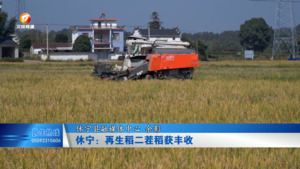 休宁：再生稻二茬稻获丰收