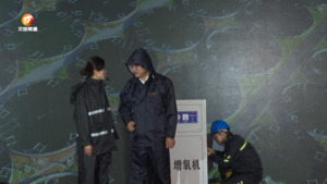 国网黄山供电公司助力乡村振兴显成效