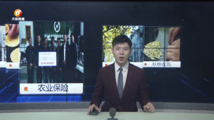 民生热线2023年11月4日