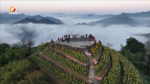 高山云海壮丽 缤纷景色如画