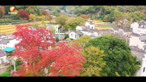 请您欣赏：黟县塔川书院