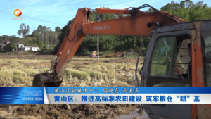 黄山区：推进高标准农田建设 筑牢粮仓“耕”基