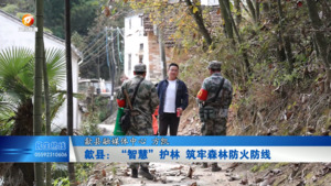 歙县：“智慧”护林 筑牢森林防火防线