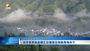 全市首单林业碳汇价值综合保险落地休宁