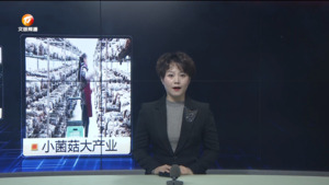 民生热线2023年11月20日
