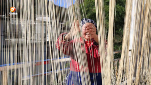 歙县：纱面制作正当时 咸淡适宜韧性足