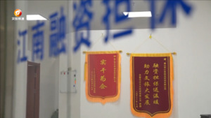 融资担保助力企业发展
