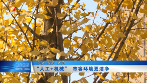 “人工+机械”  市容环境更洁净