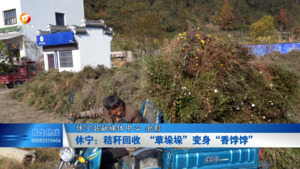 休宁：秸秆回收 “草垛垛”变身“香饽饽”
