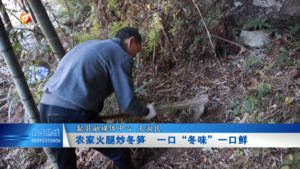农家火腿炒冬笋  一口“冬味”一口鲜