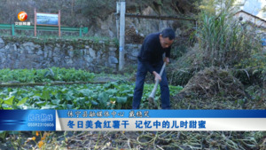 冬日美食红薯干  记忆中的儿时甜蜜