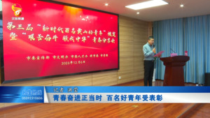 青春奋进正当时 百名好青年受表彰