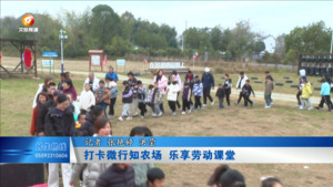 打卡微行知农场 乐享劳动课堂