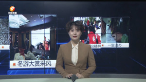 民生热线2023年12月11日