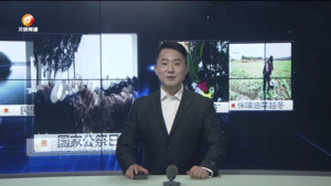民生热线2023年12月13日