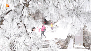 古道踏雪赏雾凇