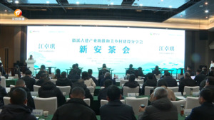 聚力和美乡村建设 绘就乡村振兴图景