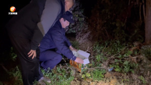 黄山区：警民联手救助“领角鸮”