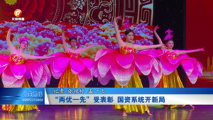 “两优一先”受表彰 国资系统开新局