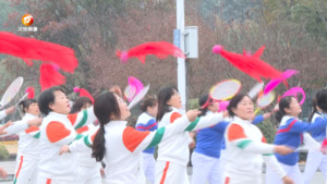 2024全市中老年柔力球交流展示活动举行
