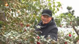 吴武星家庭：以爱筑巢 和美与共