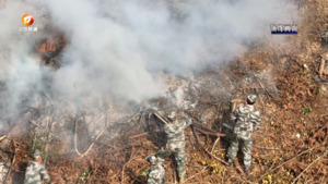 黟县：开展森林火灾扑救实战演练 筑牢防火屏障