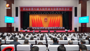 民生热线2024年2月3日