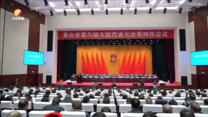 市八届人大四次会议隆重开幕
