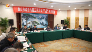市政协委员讨论《政府工作报告》