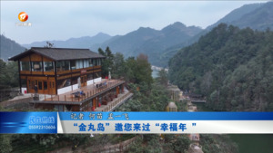 “金丸岛”邀您来过“幸福年”