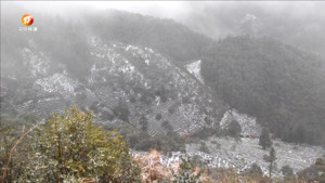 休宁：新安源头迎来新春首场降雪