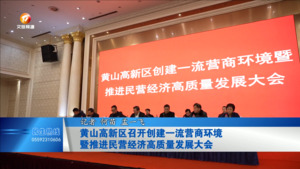黄山高新区召开创建一流营商环境暨推进民营经济高质量发展大会