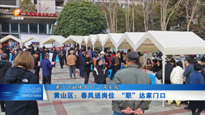 黄山区：春风送岗位，“职”达家门口