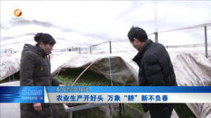 农业生产开好头 万象“耕”新不负春