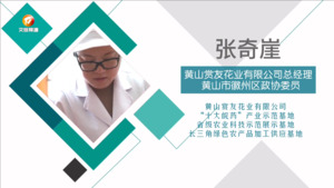 张奇崖： 深耕贡菊产业  为乡村振兴“增色添香”