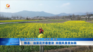 黟县：油菜花开春意浓，田园风景美如画