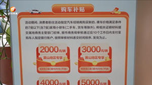 我市发放2024年购车消费补贴