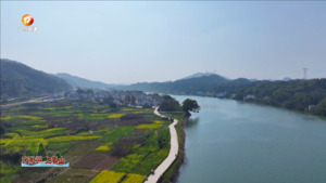 来徽州上春山
油菜花黄香百里  踏青赏花春意浓