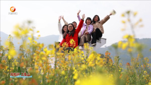 来徽州 上春山
歙县：五彩斑斓油菜花 盛开时节游人来
