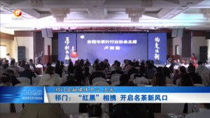 祁门：“红黑”相携 开启名茶新风口