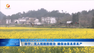休宁：无人机统防统治 确保油菜高质高产