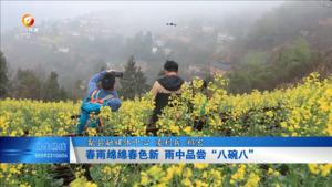 春雨绵绵春色新  雨中品尝“八碗八”