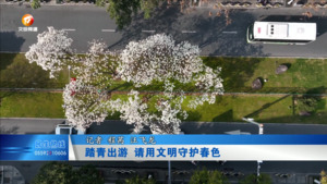 踏青出游 请用文明守护春色