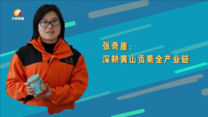 张奇崖：深耕黄山贡菊全产业链