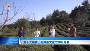 第十六届黄山毛峰茶文化节28日开幕