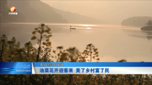 【来徽州 上春山】 油菜花开迎客来  美了乡村富了民