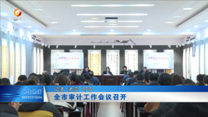 全市审计工作会议召开