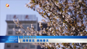 【来徽州上春山】踏青赏花 拥抱春天