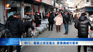 祁门：春茶上市交易火 茶香满城引客来