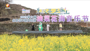 歙县：玩出“花”样  油菜花里开音乐节